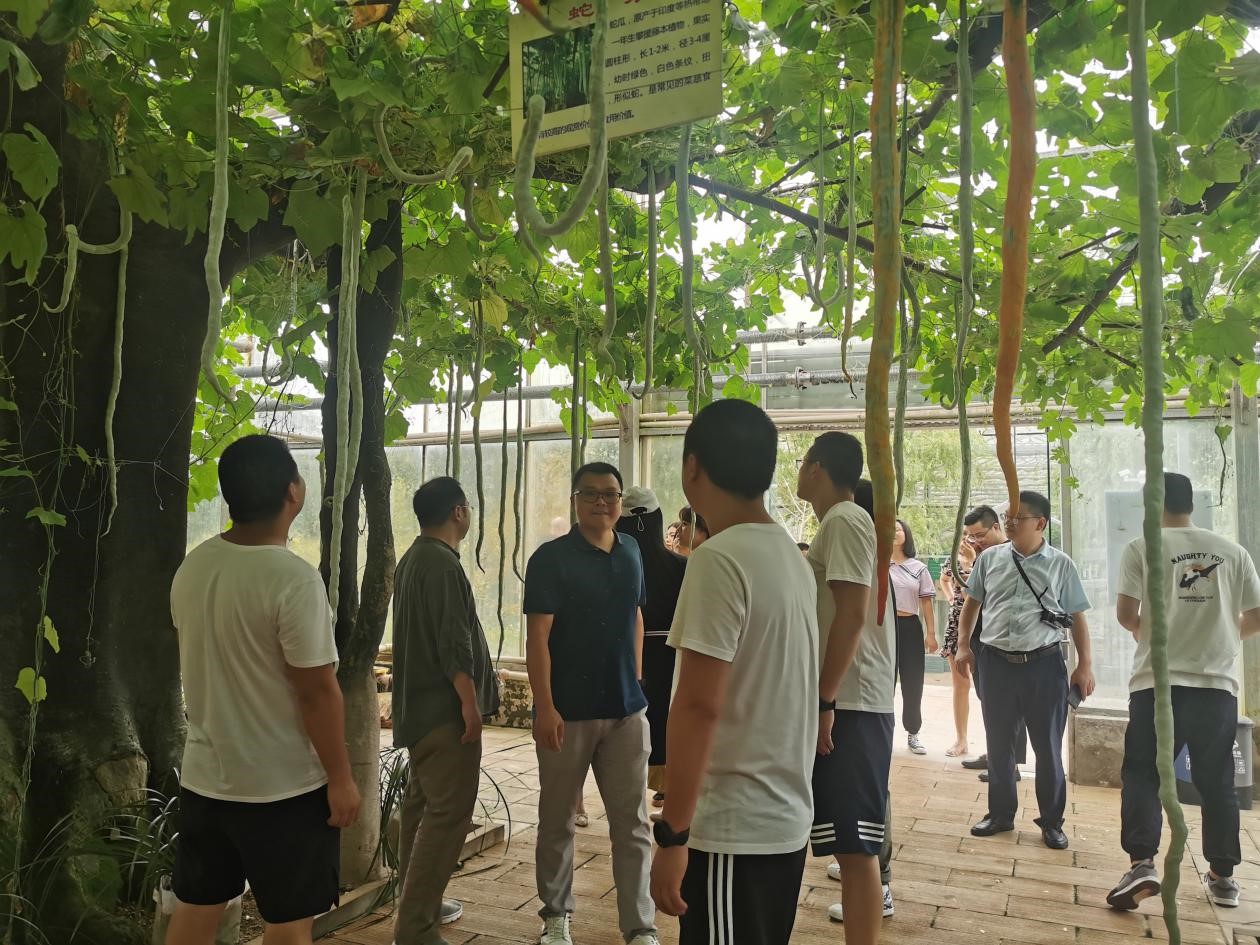 巴中|探访贵州避暑秘境 巴中打卡值得拥有